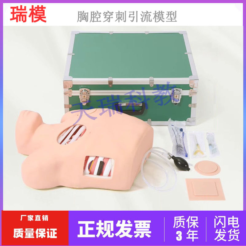 胸腔闭式引流模型 胸腔穿刺模型及气胸处理训练 医用胸腔穿刺模型
