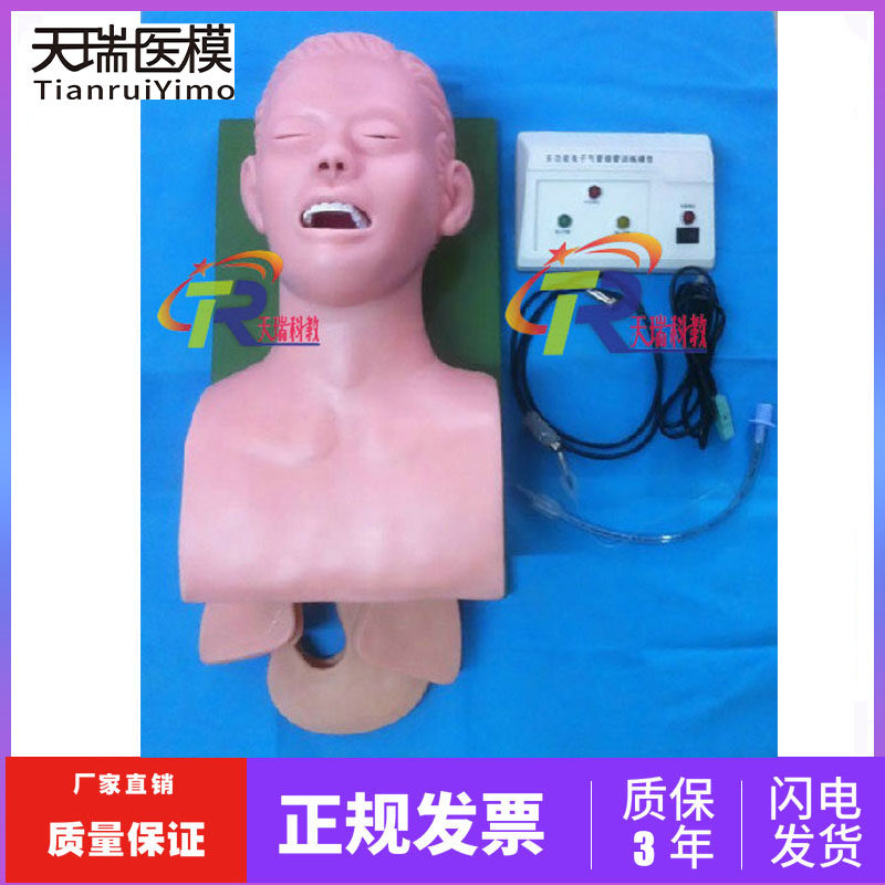 J5S adult tracheal intubation model electronic human tracheal intubation training model (with alarm) for medical use