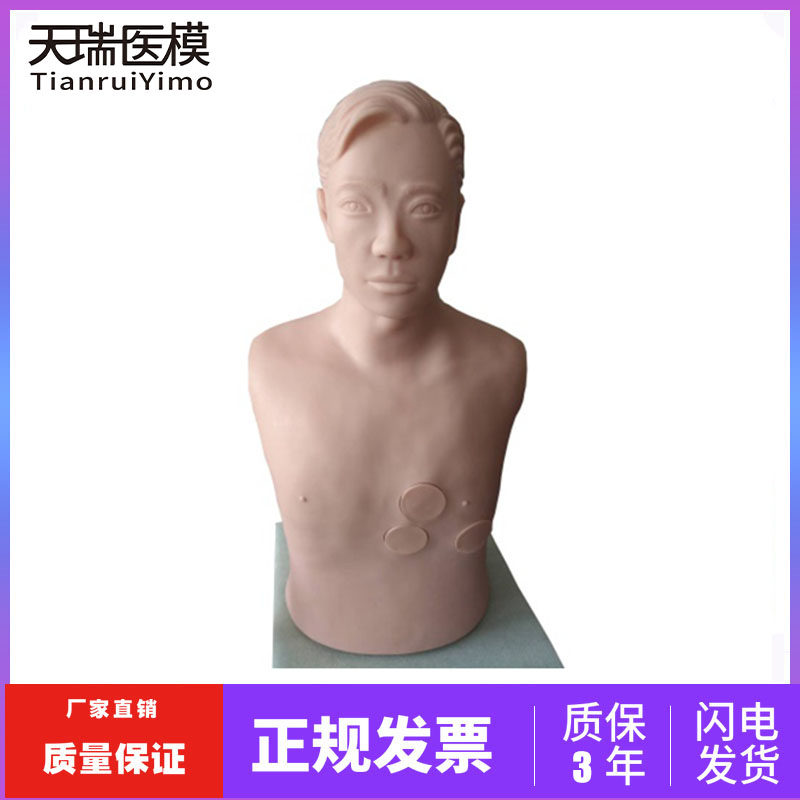 高级心包穿刺模型 心内注射训练模型  医学教学穿刺用模拟人