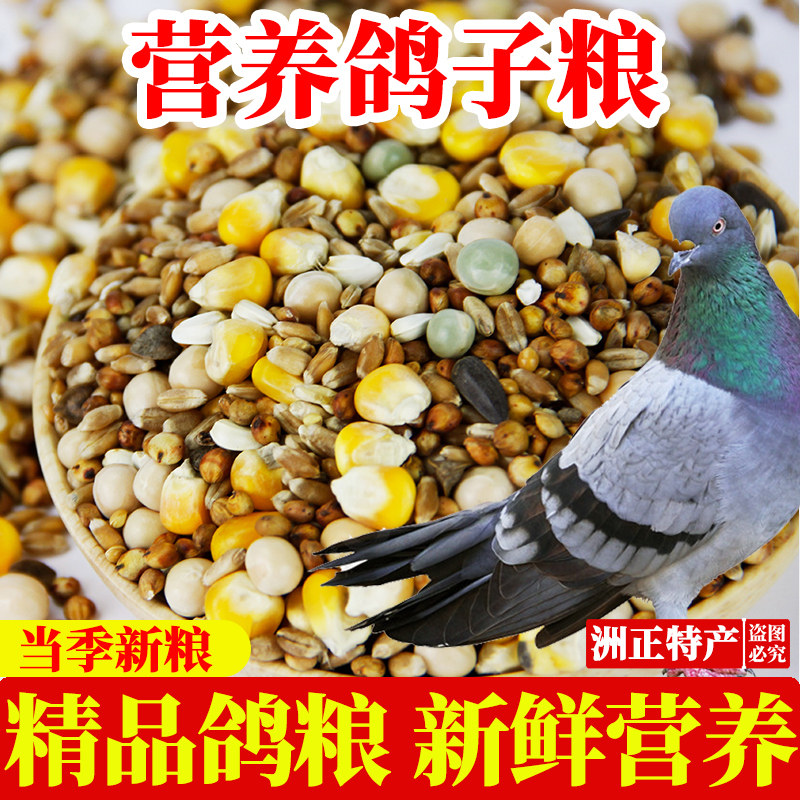 樟脑球真的适合给宠物使用吗？聊聊宠物用品中的健康隐患2025年趋势