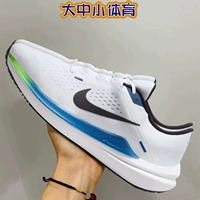 Nike Nike Мужские ботинки Air Winflo 10 Легкая сетчатая поверхность дышащая для восстановления кроссовки DV4022