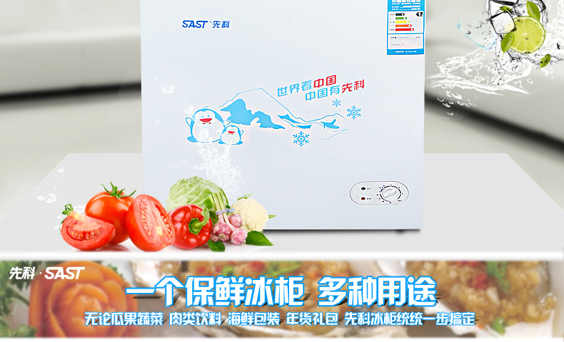 tủ đông sanaky 100l Tủ đông lạnh đơn SAST / SAST BD / BC-178L tủ đông đá