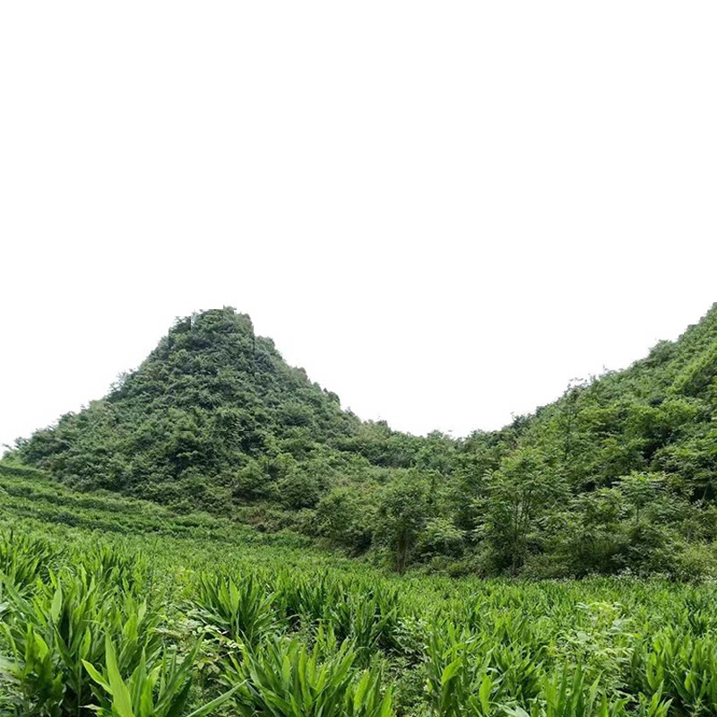 彭水青河苗家土特产