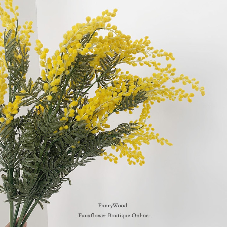 Simulation of acacia 