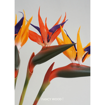 Simulation crane Wanglan Bird of Paradise Floral flower arrangement Wedding props Shooting props landing flowers shaped flowers