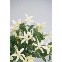 Valley clematis simulation Clematis home hand-held simulation bouquet diy model room simulation flower