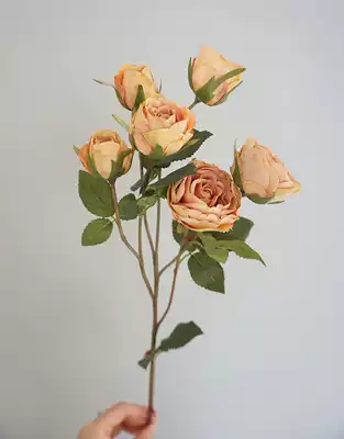 Simulation 6-head rose retro multi-head high-grade simulation rose home accessories floral design photo props