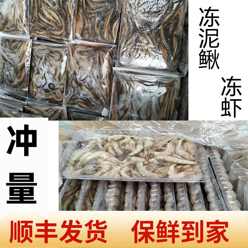 Red dragon fish tiger fish Loach section feed frozen river shrimp mudfish feed section frozen fish food shrimp frozen frozen frozen shrimp