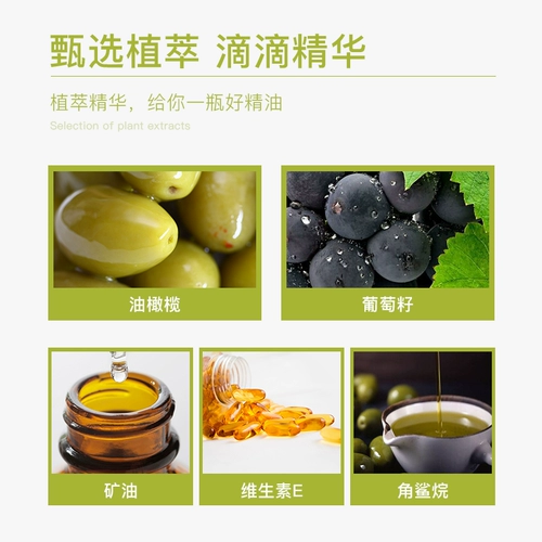 Масло, массажер для всего тела для лица с горькой полынью с имбирем