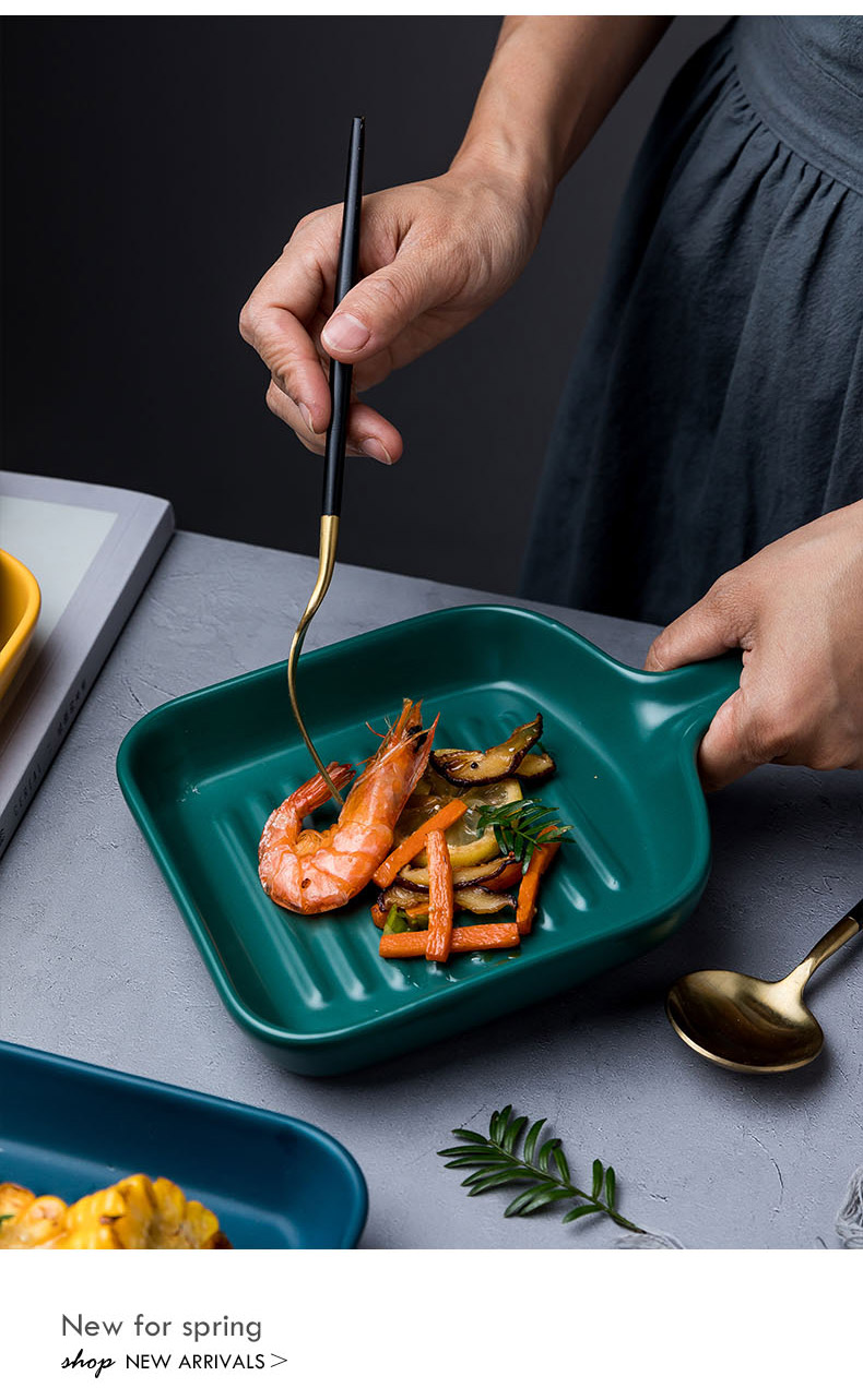 Dish Dish Dish web celebrity with the handle of paella pan, Japanese bowl of household ceramics creative oven special dishes