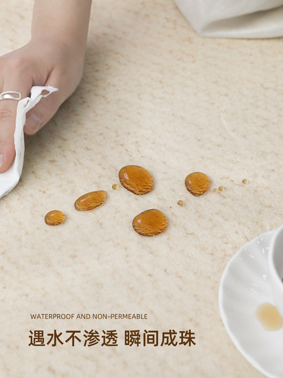 Carpet for Living Room 2026 New Model, Washable and Wipeable, Bedroom Bedside Rug, Room with a High-End Feel, Soundproof, Sofa Coffee Table Floor Mat