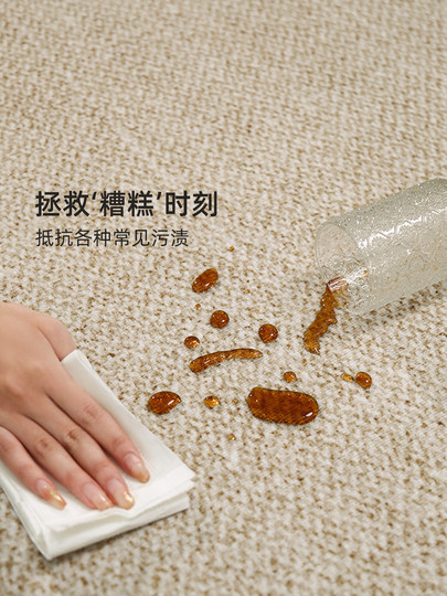 地毯客厅高级感2025新款免洗可擦卧室床边地垫纯色耐脏大面积全铺