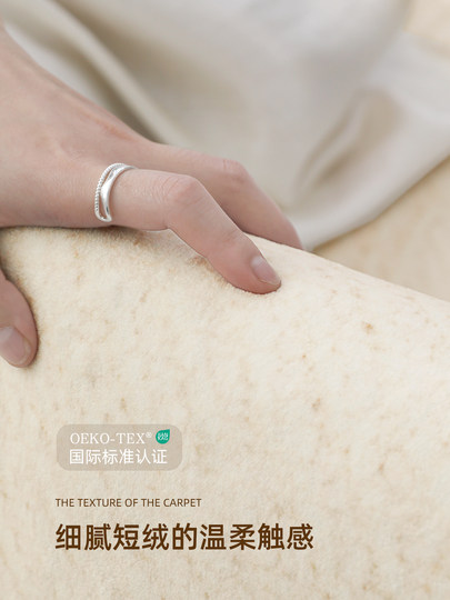 Carpet for Living Room 2026 New Model, Washable and Wipeable, Bedroom Bedside Rug, Room with a High-End Feel, Soundproof, Sofa Coffee Table Floor Mat