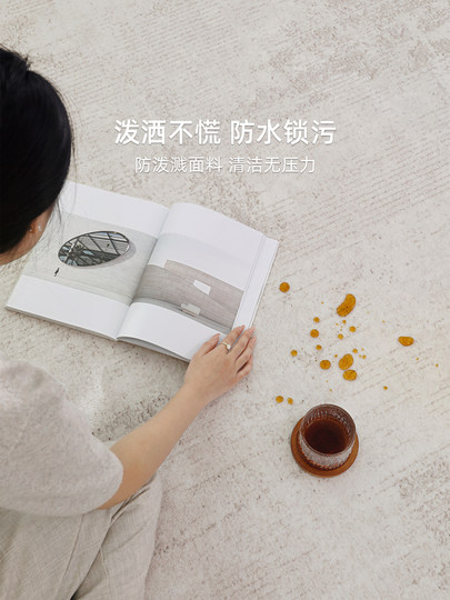 Living Room Carpet, Italian Minimalist Sofa, Coffee Table, Floor Mat, Home Bedroom Soundproofing, Non-Slip Bedside Rug, Large Area Full Coverage