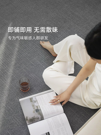 Living Room Carpet 2026 New Model Light Luxury High-End Solid Color Sofa Mat Easy Care Home Bedroom Bedside Soundproof