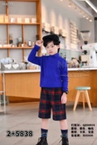 Niuduoduo winter childrens middle-aged and older childrens woolen casual plaid outer wear slim straight five-point pants 35838