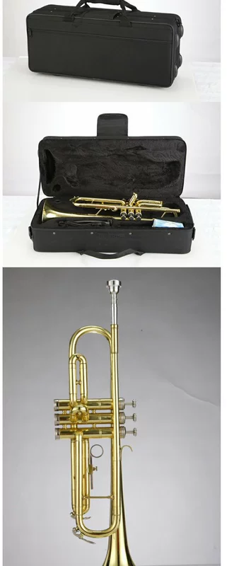 Nhạc cụ kèn tây chơi cấp B kèn phẳng chuyên nghiệp kèn vàng Jia Jia nhạc cụ đặc biệt kèn trombone