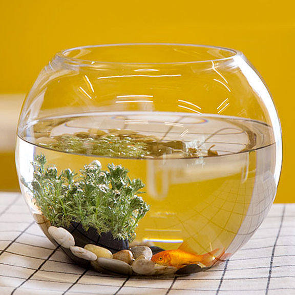 Fish tank transparent glass desk creative living room circular turtle small turtle mini-desktop goldfish tank