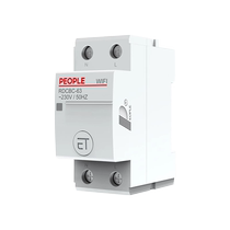 Peoples Electrical Appliances WiFi remote control switch wireless high-power Yiweilian intelligent rail-type switch 3610