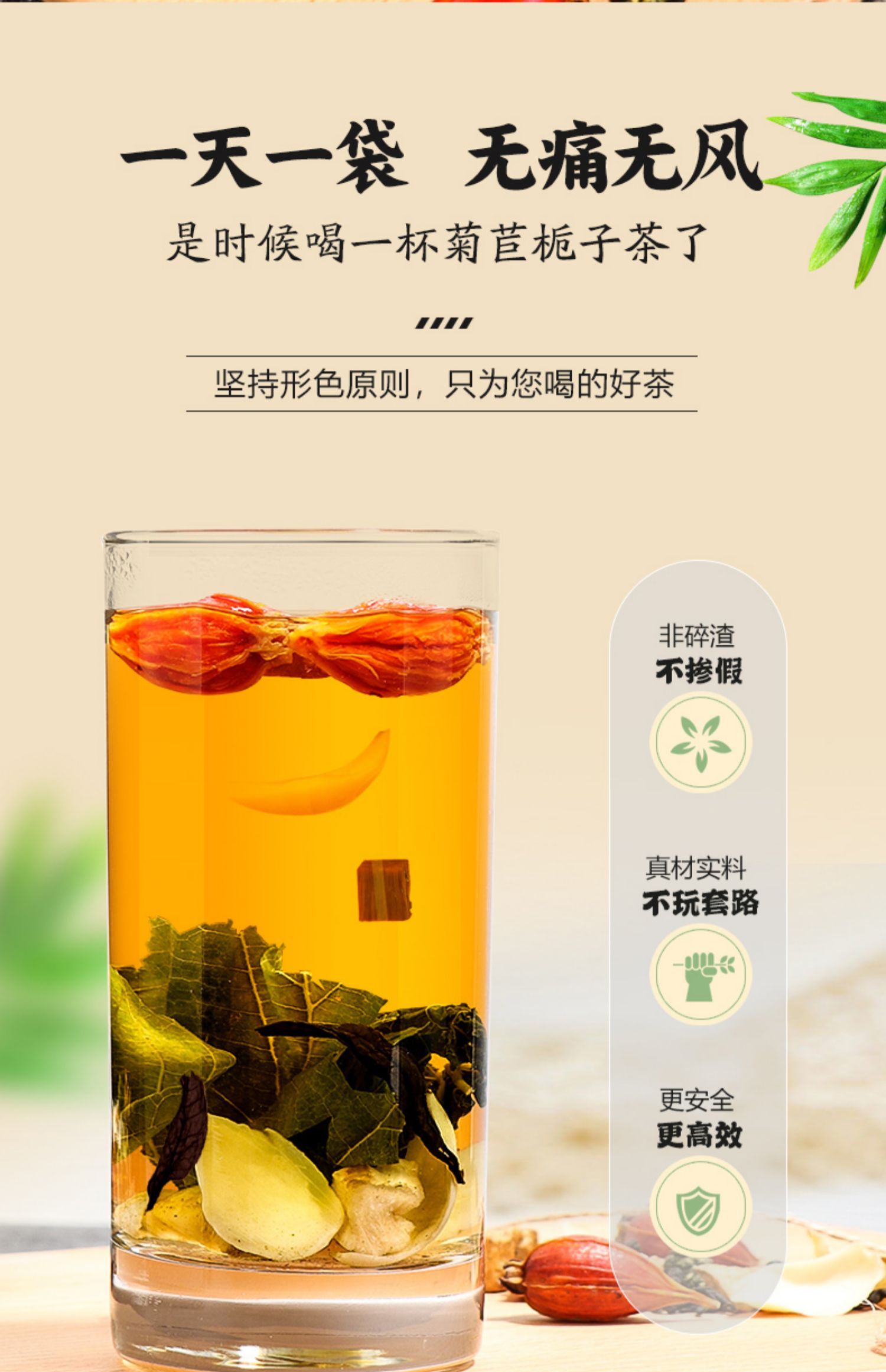 【承义堂】菊苣栀子茶75g