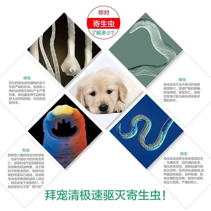 德國拜耳內蟲逃寵物狗驅蟲藥貴賓泰迪金毛體內驅蟲藥殺蟲打驅蟲藥