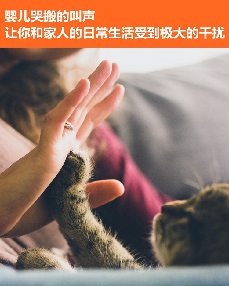 Bột ức chế mèo mẹ ức chế mèo và nỗi buồn ức chế thuốc động dục 喵 mèo bị cấm bột muốn mèo đực bị cấm - Cat / Dog Health bổ sung Sữa cho mèo con giá bảo nhiều
