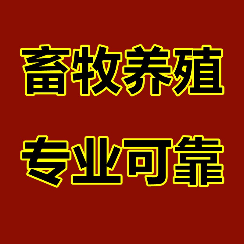 育肥牛大王 畜牧养殖 猪牛羊品牌店