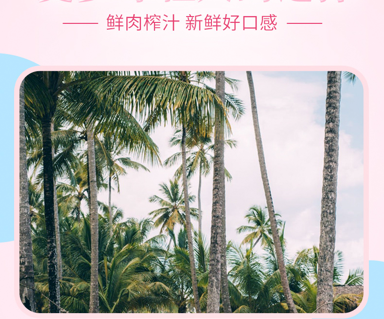 【8盒】菲诺零糖椰汁0糖植物蛋白饮