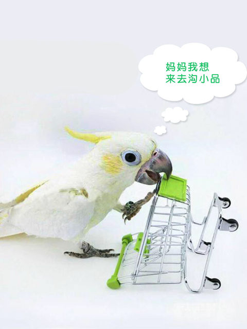 Parrot Toy Supplies Shopping Trolley Scooter Bell Cloth Ball Molar Stone Ring Shooting Piggy Bank Training