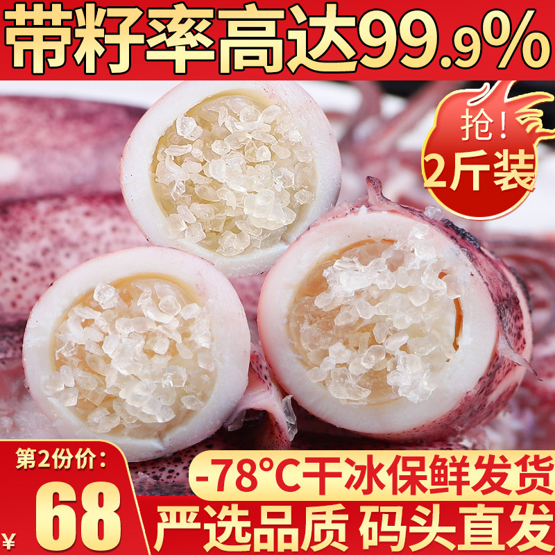 Sea rabbit full seed black whole seed fresh seafood aquatic frozen sea catch pen tube fish cuttlefish baby squid octopus