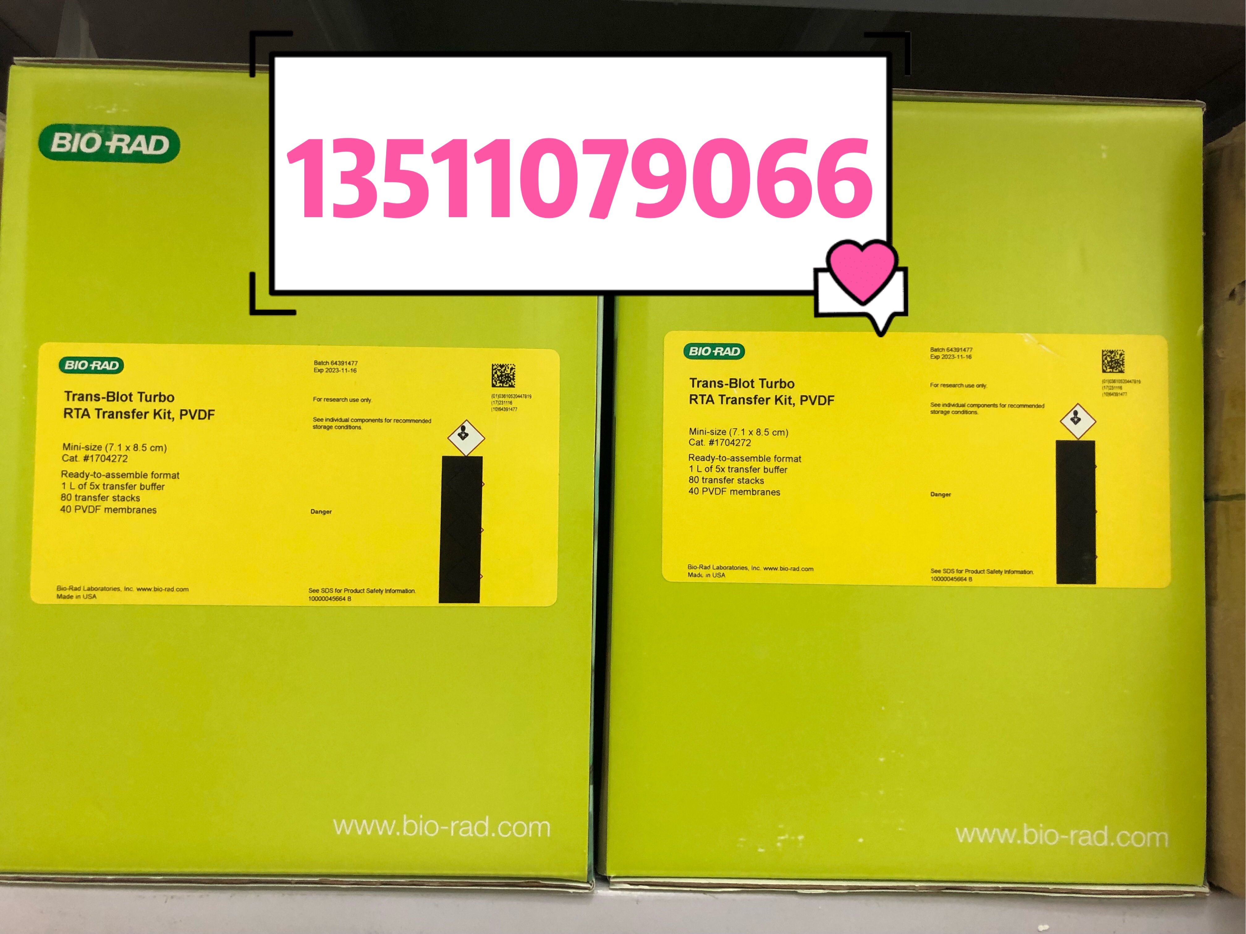 BIO-RAD Berle Trans-Blot Turbo RTA transfer kit 1704272