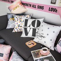 ins Nordic pillow case core pink high-grade gray girl double-sided pillow American Net red lunch break Pillow sofa