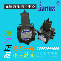 Taiwan janus Denwin VP-40-FA3 oil pump VP-30 15 12-FA2 vane pump VP1-20-70