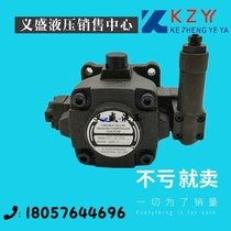 Taiwan Kozheng KZY variable vane pump HVP-30-FA3 hydraulic oil pump HVP-40-FA2 VP3-20-140