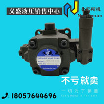 Taiwan Northman North Fine Machine HVPVC-F40-A3-02 Oil Pump HVPVC-F30 HVPVC-F30 F20-A4-03