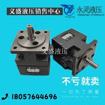 YLC Xianju Yongling YB1-6 3 2 5 10 16 25 32 40 50 63 80 100 125 vane pump