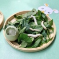 桑蚕研究院
