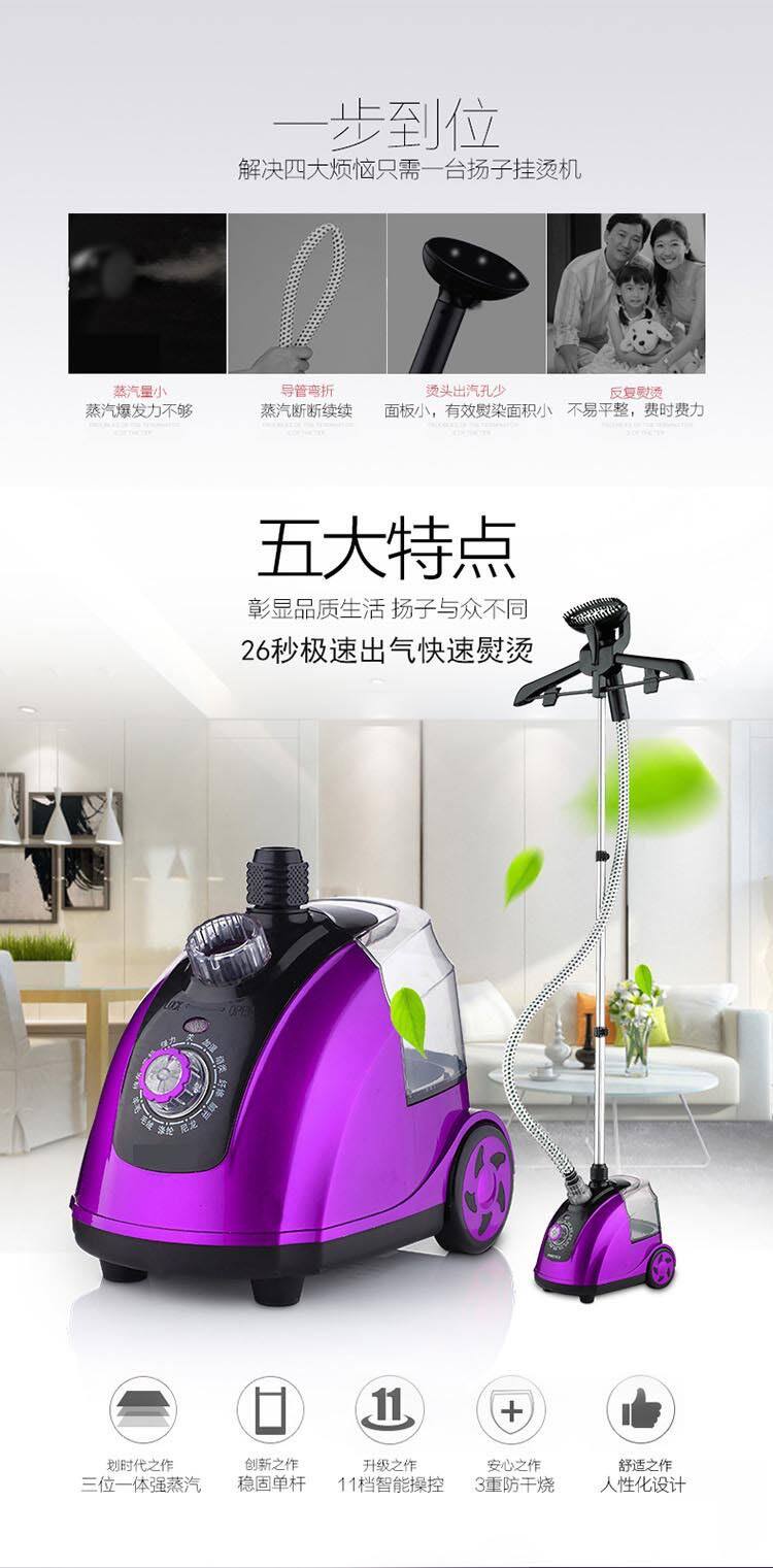 Пароочиститель electric compact iron steam soleplate clothes steamer 电熨斗 Other
