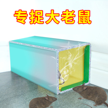 Rat glue mouse glue strong household enlarged and thickened mouse Buster a nest