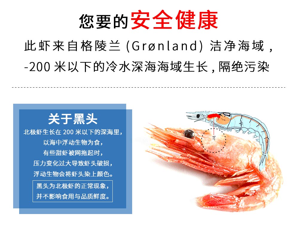 丹麦格林兰 即食腹籽北极甜虾 净重4.5斤 图2