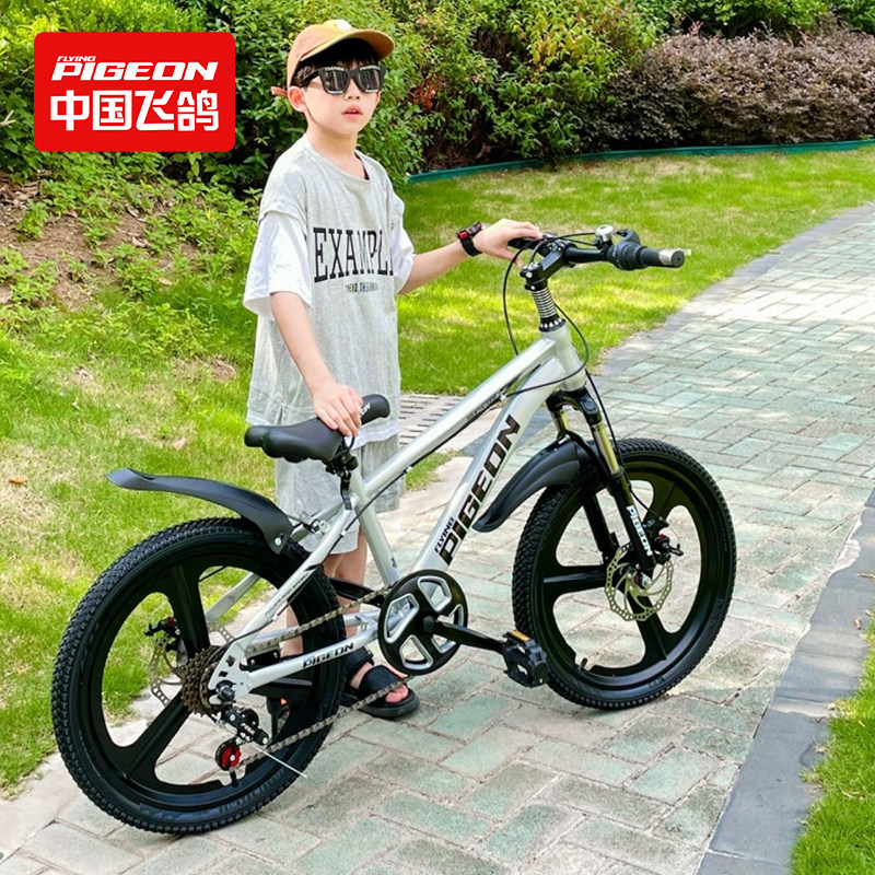 Велосипед горный Flying Pigeon Challengers 18" серебристый, спицы, 1 скорость