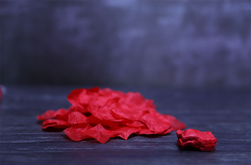 1000 sheets of weaver petals colour not selected by package Colour Romantic Table White Courthouse 520 Valentine's Day