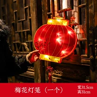 Слива цветение фонарь