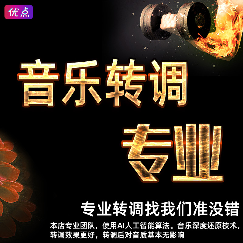 Professional Music Transfer Accompaniment Silenced Variable-speed Variator Transfer And Tone Down Tone Audio Stereo Making mp3