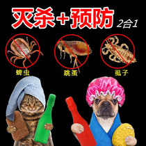 Insecticide drops a Type B cat dog pet insect repellent insect repellent to kill flea lice tick water for prevention