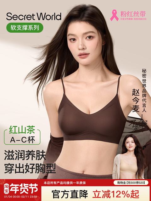 SecretWorld underwear women's push-up small breasts, auxiliary breasts anti-sagging seamless vest bra 2025 new style