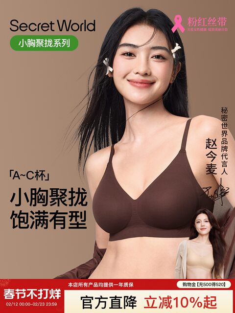 Secretworld Intimates Women's Push-Up Bra for Small Breasts, Anti-Sagging, No Wires, Comfortable and Traceless Bra