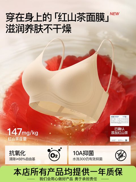 SecretWorld underwear women's push-up small breasts, auxiliary breasts anti-sagging seamless vest bra 2025 new style