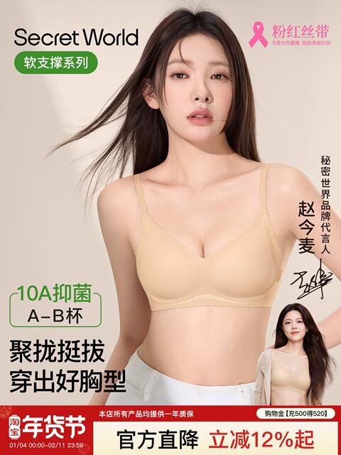 SecretWorld Underwear Women's Push Up Small Breast Soft Support Invisible Seamless Secondary Breast Reduction Anti-Sagging Bra