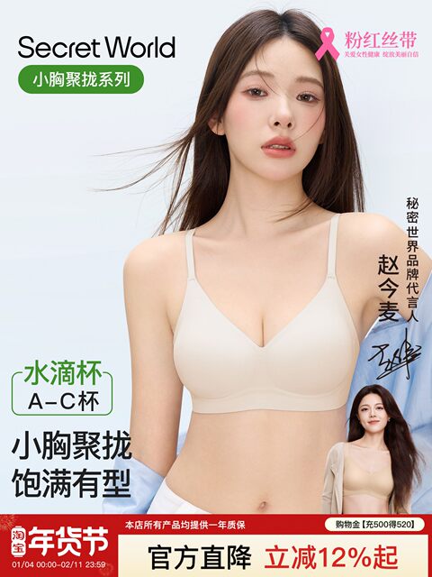 SecretWorld underwear for women with small breasts, push-up bra without rims, breast reduction, traceless back, 2025 new style